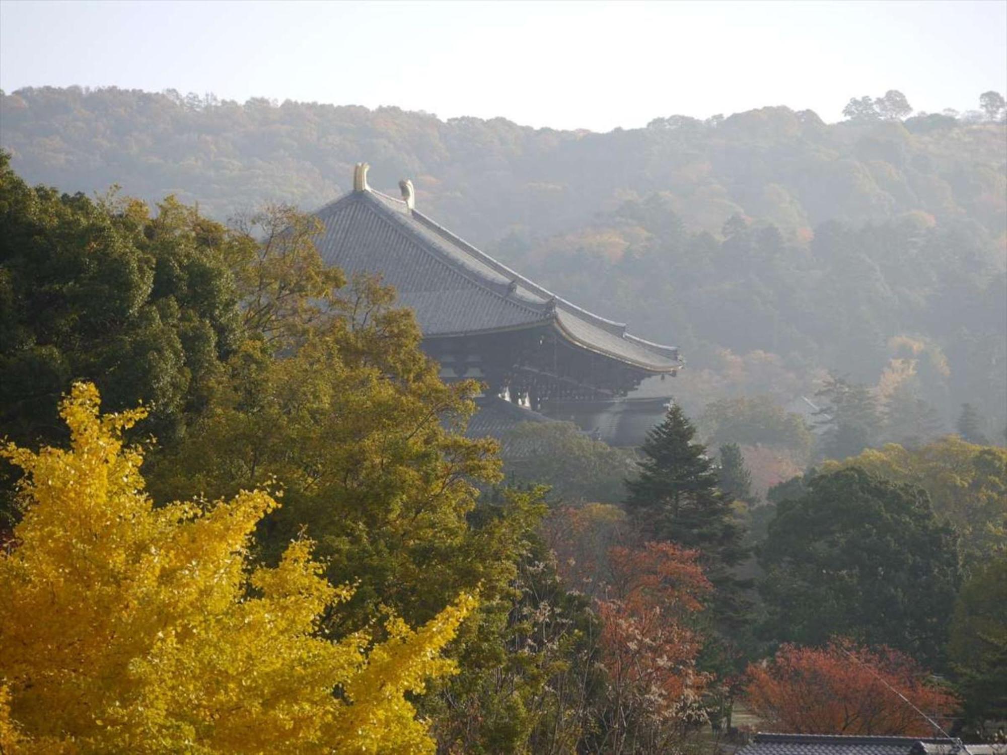 Hotel New Wakasa Nara Buitenkant foto